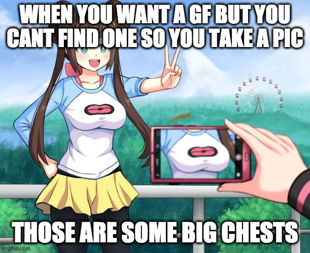 anime girl camera | WHEN YOU WANT A GF BUT YOU CANT FIND ONE SO YOU TAKE A PIC; THOSE ARE SOME BIG CHESTS | image tagged in anime girl camera | made w/ Imgflip meme maker