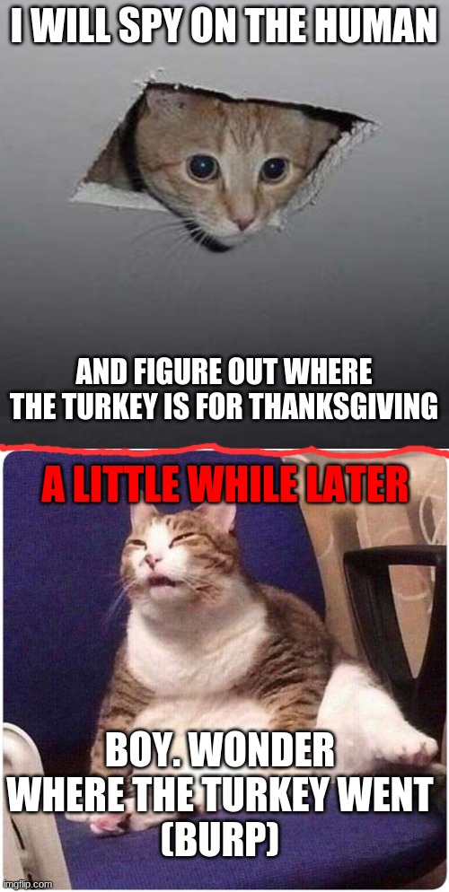 wonder where the turkey went? | I WILL SPY ON THE HUMAN; AND FIGURE OUT WHERE THE TURKEY IS FOR THANKSGIVING; A LITTLE WHILE LATER; BOY. WONDER WHERE THE TURKEY WENT
(BURP) | image tagged in memes,ceiling cat,fat cat | made w/ Imgflip meme maker