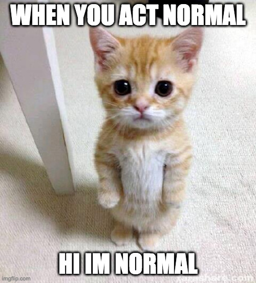 When you act normal: | WHEN YOU ACT NORMAL; HI IM NORMAL | image tagged in memes,cute cat,funny,cats,animals | made w/ Imgflip meme maker