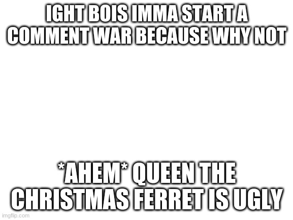 E | IGHT BOIS IMMA START A COMMENT WAR BECAUSE WHY NOT; *AHEM* QUEEN THE CHRISTMAS FERRET IS UGLY | image tagged in blank white template | made w/ Imgflip meme maker