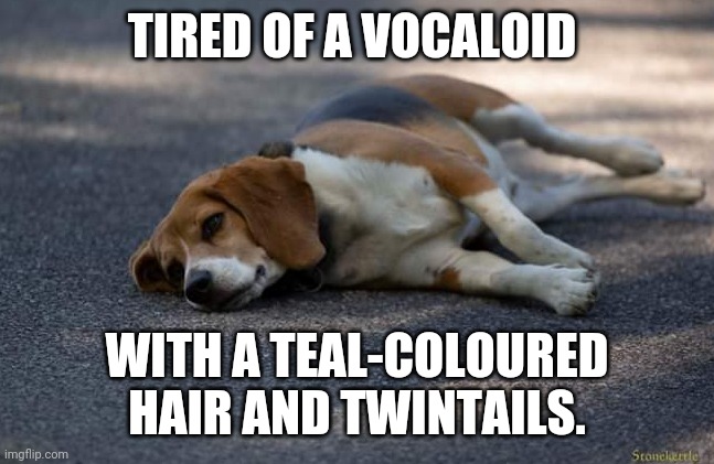 Tired owo uwu | TIRED OF A VOCALOID; WITH A TEAL-COLOURED HAIR AND TWINTAILS. | image tagged in dog tired,hatsune miku,miku hatsune,miku | made w/ Imgflip meme maker