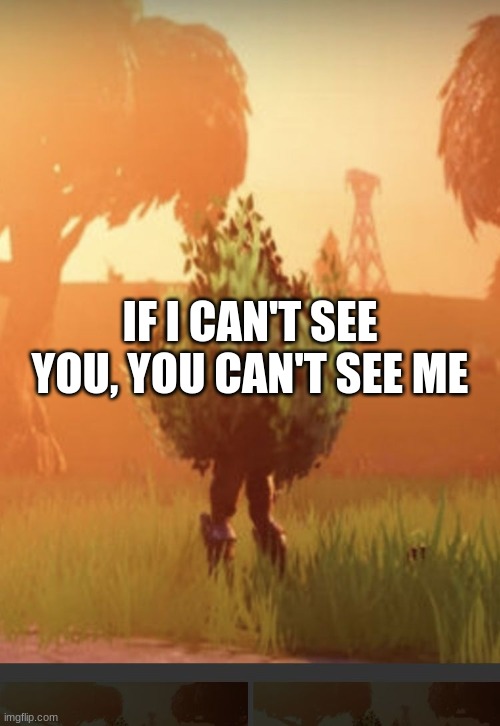Fortnite bush | IF I CAN'T SEE YOU, YOU CAN'T SEE ME | image tagged in fortnite bush | made w/ Imgflip meme maker
