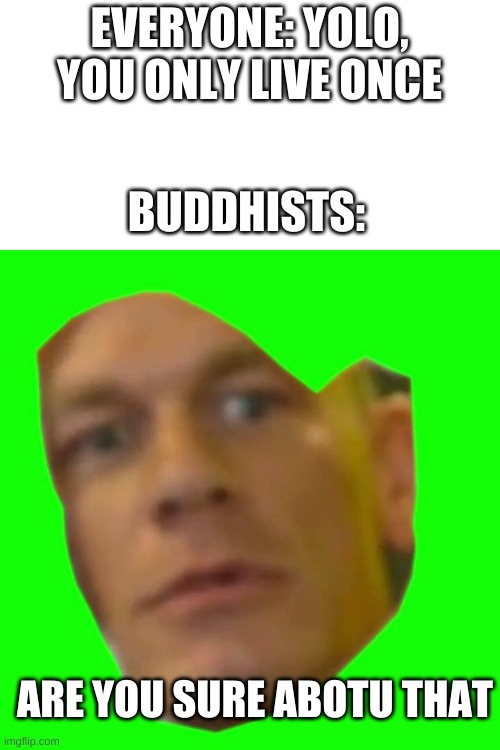 ARE YOU SURE ABOUT THAT | BUDDHISTS:; EVERYONE: YOLO, YOU ONLY LIVE ONCE; ARE YOU SURE ABOTU THAT | image tagged in are you sure about that | made w/ Imgflip meme maker