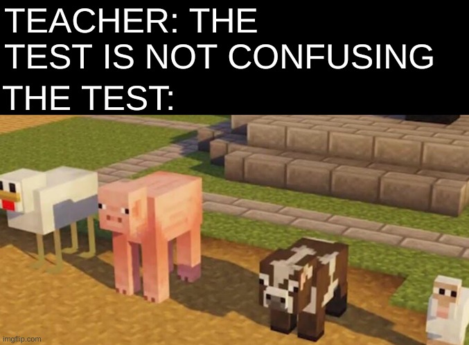 The frick is this? | TEACHER: THE TEST IS NOT CONFUSING; THE TEST: | image tagged in memes,funny,minecraft,gaming,pandaboyplaysyt | made w/ Imgflip meme maker
