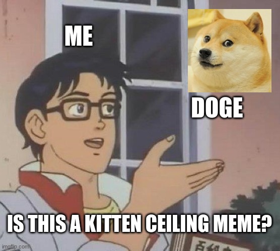 Is This A Pigeon | ME; DOGE; IS THIS A KITTEN CEILING MEME? | image tagged in memes,is this a pigeon,doge | made w/ Imgflip meme maker