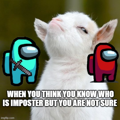 WHEN YOU THINK YOU KNOW WHO IS IMPOSTER BUT YOU ARE NOT SURE | image tagged in suspicious lamb | made w/ Imgflip meme maker