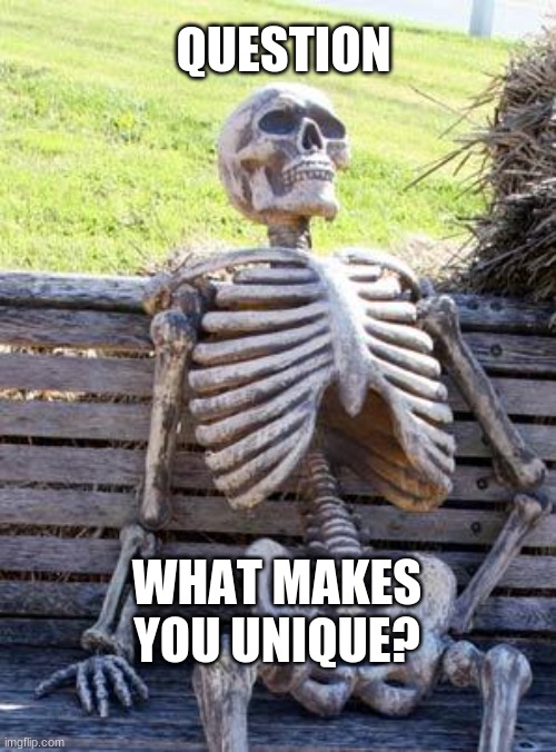 Waiting Skeleton | QUESTION; WHAT MAKES YOU UNIQUE? | image tagged in memes,waiting skeleton | made w/ Imgflip meme maker