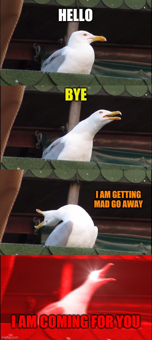 SEAGULL THE SECOND | HELLO; BYE; I AM GETTING MAD GO AWAY; I AM COMING FOR YOU | image tagged in memes | made w/ Imgflip meme maker