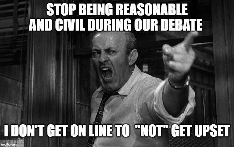 Political debate? YES, PLEASE! | STOP BEING REASONABLE AND CIVIL DURING OUR DEBATE; I DON'T GET ON LINE TO  "NOT" GET UPSET | image tagged in lol,politics lol,funny memes,2020 sucks,memes,debates | made w/ Imgflip meme maker