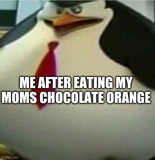 Thicc Skipper | ME AFTER EATING MY MOMS CHOCOLATE ORANGE | image tagged in thicc skipper | made w/ Imgflip meme maker