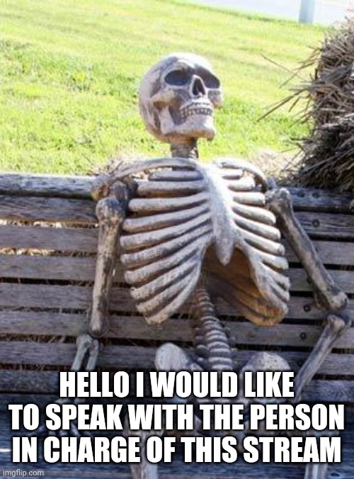 Waiting Skeleton Meme | HELLO I WOULD LIKE TO SPEAK WITH THE PERSON IN CHARGE OF THIS STREAM | image tagged in memes,waiting skeleton | made w/ Imgflip meme maker