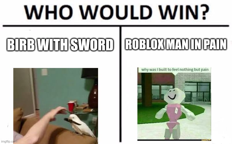 who would win? | ROBLOX MAN IN PAIN; BIRB WITH SWORD | image tagged in memes,who would win | made w/ Imgflip meme maker