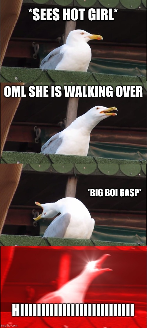 irl be like | *SEES HOT GIRL*; OML SHE IS WALKING OVER; *BIG BOI GASP*; HIIIIIIIIIIIIIIIIIIIIIIIIIII | image tagged in memes,inhaling seagull | made w/ Imgflip meme maker