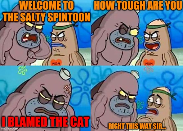I blamed the cat! | WELCOME TO THE SALTY SPINTOON; HOW TOUGH ARE YOU; I BLAMED THE CAT; RIGHT THIS WAY SIR... | image tagged in welcome to the salty spitoon | made w/ Imgflip meme maker