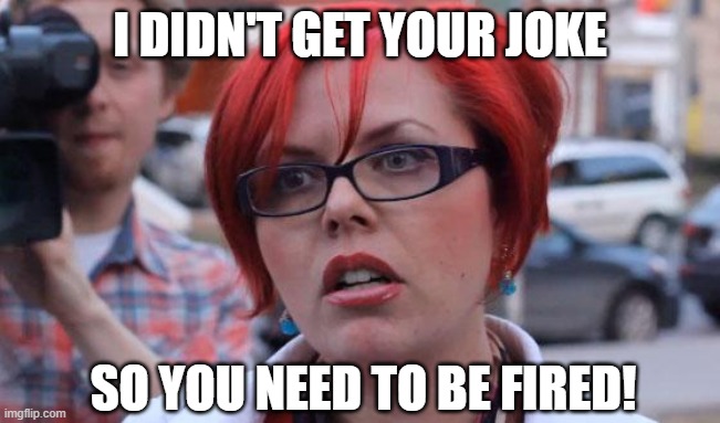 Angry Feminist | I DIDN'T GET YOUR JOKE SO YOU NEED TO BE FIRED! | image tagged in angry feminist | made w/ Imgflip meme maker