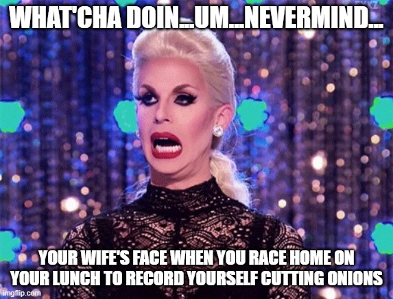 Stunned Katya | WHAT'CHA DOIN...UM...NEVERMIND... YOUR WIFE'S FACE WHEN YOU RACE HOME ON YOUR LUNCH TO RECORD YOURSELF CUTTING ONIONS | image tagged in stunned katya | made w/ Imgflip meme maker