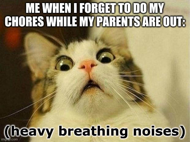 Scared Cat Meme | ME WHEN I FORGET TO DO MY CHORES WHILE MY PARENTS ARE OUT:; (heavy breathing noises) | image tagged in memes,scared cat | made w/ Imgflip meme maker