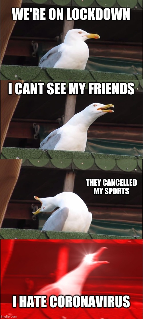 Both the coronas suck | WE'RE ON LOCKDOWN; I CANT SEE MY FRIENDS; THEY CANCELLED MY SPORTS; I HATE CORONAVIRUS | image tagged in memes,inhaling seagull,funny,lol | made w/ Imgflip meme maker