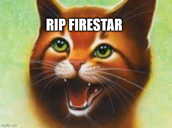 Warrior cats Firestar | RIP FIRESTAR | image tagged in warrior cats firestar | made w/ Imgflip meme maker