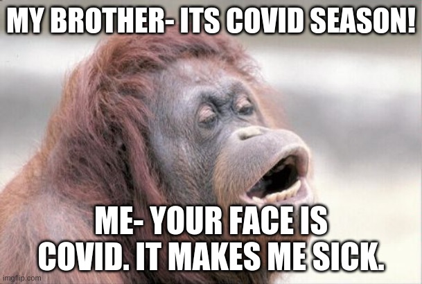 its not good but hey! i tryed | MY BROTHER- ITS COVID SEASON! ME- YOUR FACE IS COVID. IT MAKES ME SICK. | image tagged in memes,monkey ooh | made w/ Imgflip meme maker