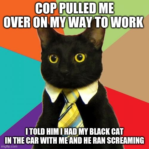 Business Cat | COP PULLED ME OVER ON MY WAY TO WORK; I TOLD HIM I HAD MY BLACK CAT IN THE CAR WITH ME AND HE RAN SCREAMING | image tagged in memes,business cat | made w/ Imgflip meme maker