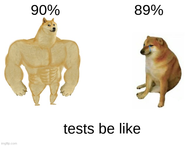 Buff Doge vs. Cheems | 90%; 89%; tests be like | image tagged in memes,school | made w/ Imgflip meme maker
