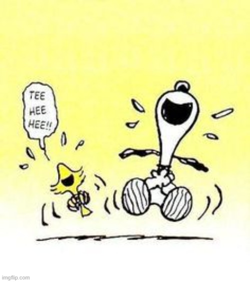 Snoopy and Woodstock laughing | image tagged in snoopy and woodstock laughing | made w/ Imgflip meme maker