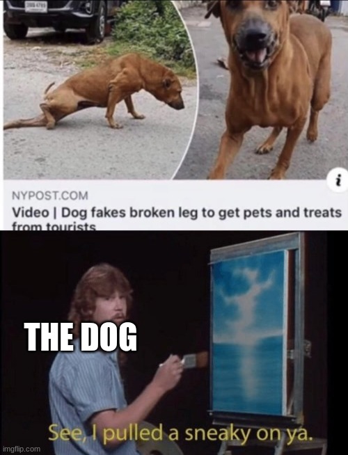 200 IQ move |  THE DOG | image tagged in i pulled a sneaky,funny,dog | made w/ Imgflip meme maker