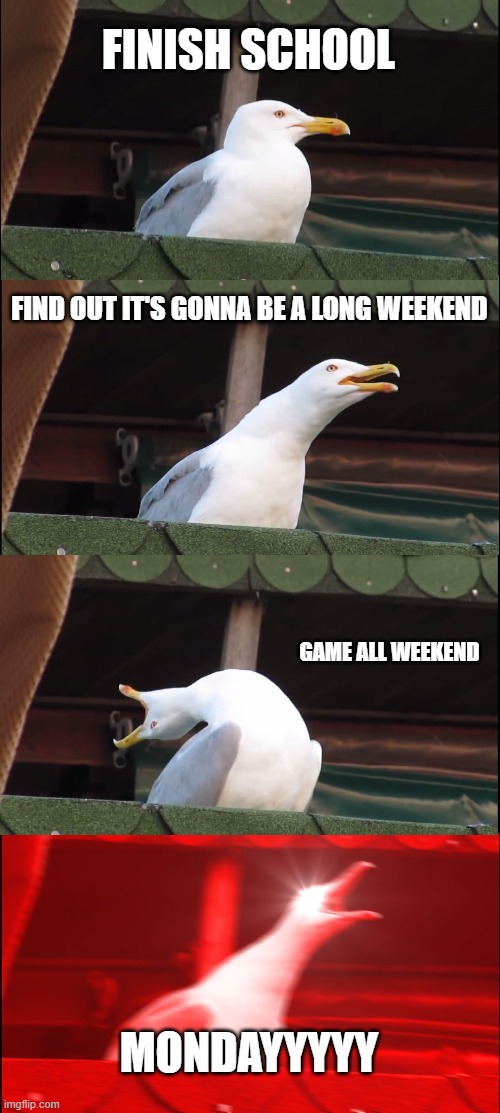 Inhaling Seagull Meme | FINISH SCHOOL; FIND OUT IT'S GONNA BE A LONG WEEKEND; GAME ALL WEEKEND; MONDAYYYYY | image tagged in memes,inhaling seagull | made w/ Imgflip meme maker
