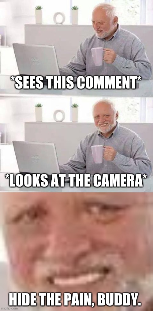 *SEES THIS COMMENT* *LOOKS AT THE CAMERA* HIDE THE PAIN, BUDDY. | image tagged in memes,hide the pain harold | made w/ Imgflip meme maker