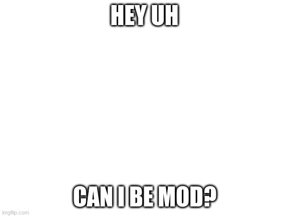 Blank White Template | HEY UH; CAN I BE MOD? | image tagged in blank white template | made w/ Imgflip meme maker