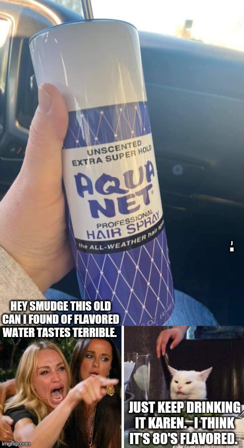 J M; HEY SMUDGE THIS OLD CAN I FOUND OF FLAVORED WATER TASTES TERRIBLE. JUST KEEP DRINKING IT KAREN.   I THINK IT'S 80'S FLAVORED. | image tagged in smudge the cat | made w/ Imgflip meme maker