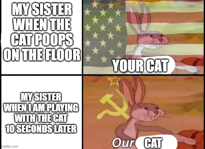 sisters and cats. upvote if you have the same prob | MY SISTER WHEN THE CAT POOPS ON THE FLOOR; YOUR CAT; MY SISTER WHEN I AM PLAYING WITH THE CAT 10 SECONDS LATER; CAT | image tagged in bugs bunny my our | made w/ Imgflip meme maker