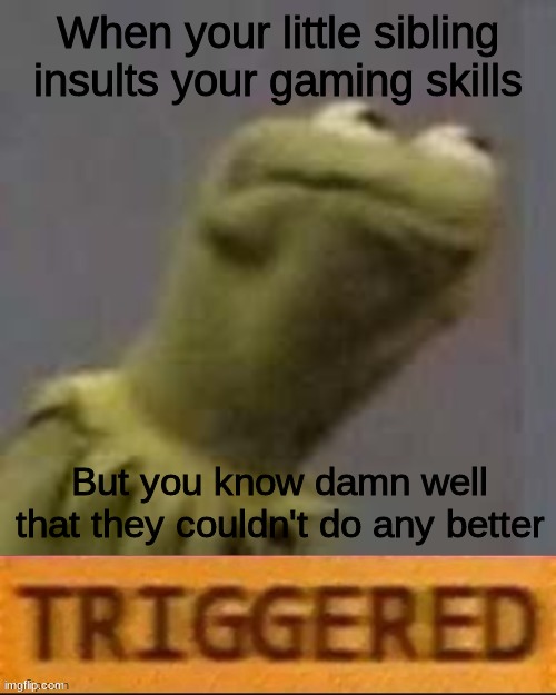 The Insult | When your little sibling insults your gaming skills; But you know damn well that they couldn't do any better | image tagged in kermit triggered | made w/ Imgflip meme maker