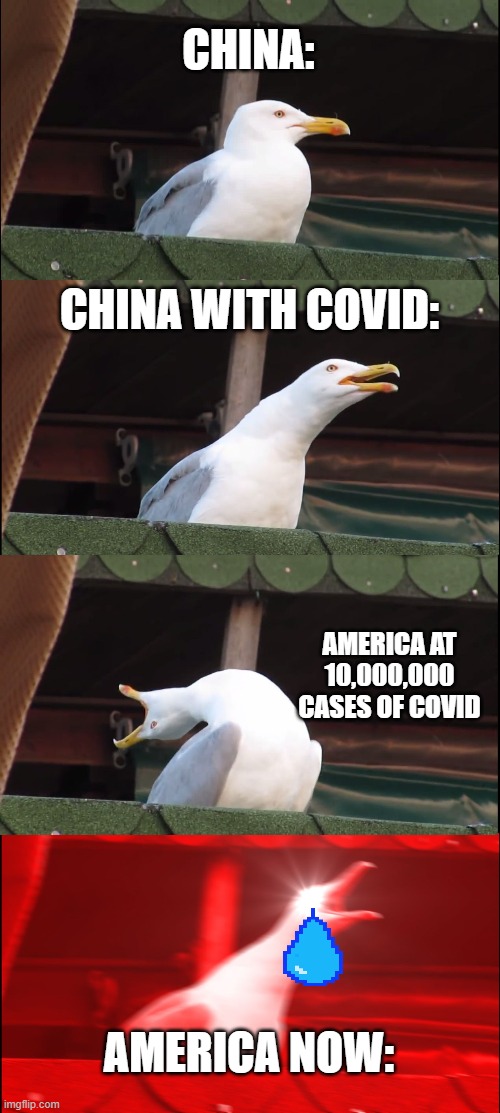 Inhaling Seagull Meme | CHINA:; CHINA WITH COVID:; AMERICA AT 10,000,000 CASES OF COVID; AMERICA NOW: | image tagged in memes,inhaling seagull | made w/ Imgflip meme maker