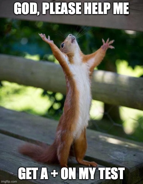 Help me god squirrel | GOD, PLEASE HELP ME; GET A + ON MY TEST | image tagged in happy squirrel | made w/ Imgflip meme maker