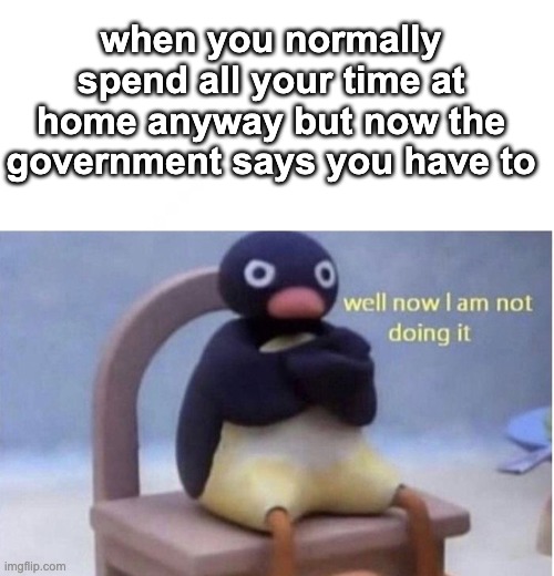 ahh.. quarantine | when you normally spend all your time at home anyway but now the government says you have to | image tagged in quarantine | made w/ Imgflip meme maker