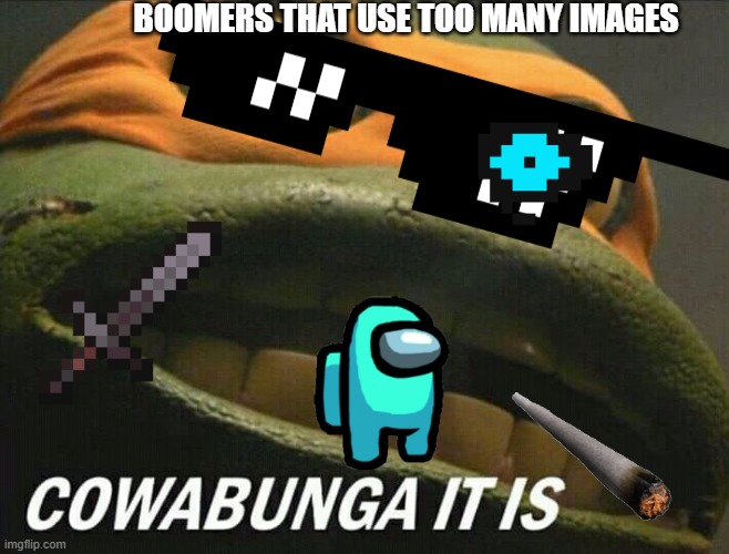 too many images | BOOMERS THAT USE TOO MANY IMAGES | image tagged in cowabunga it is | made w/ Imgflip meme maker