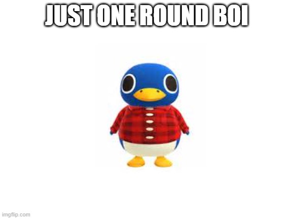 r o a l d | JUST ONE ROUND BOI | image tagged in penguin,penguin gang,animal crossing | made w/ Imgflip meme maker