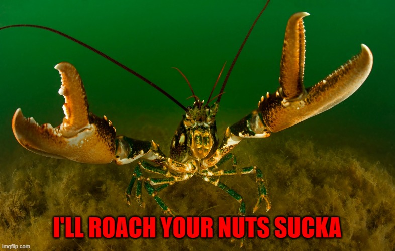 I'LL ROACH YOUR NUTS SUCKA | made w/ Imgflip meme maker