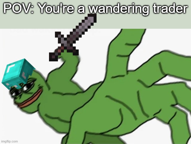 POV: You're a wandering trader | POV: You're a wandering trader | image tagged in pepe punch,memes | made w/ Imgflip meme maker
