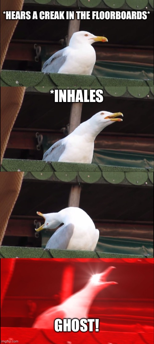 Inhaling Seagull | *HEARS A CREAK IN THE FLOORBOARDS*; *INHALES; GHOST! | image tagged in memes,inhaling seagull | made w/ Imgflip meme maker