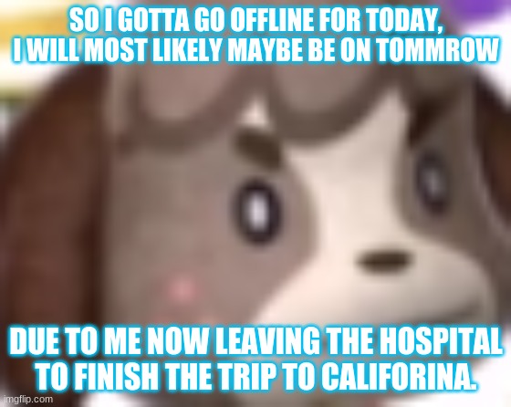 Hope yall stay safe :) | SO I GOTTA GO OFFLINE FOR TODAY, I WILL MOST LIKELY MAYBE BE ON TOMMROW; DUE TO ME NOW LEAVING THE HOSPITAL TO FINISH THE TRIP TO CALIFORINA. | image tagged in digby wtf | made w/ Imgflip meme maker