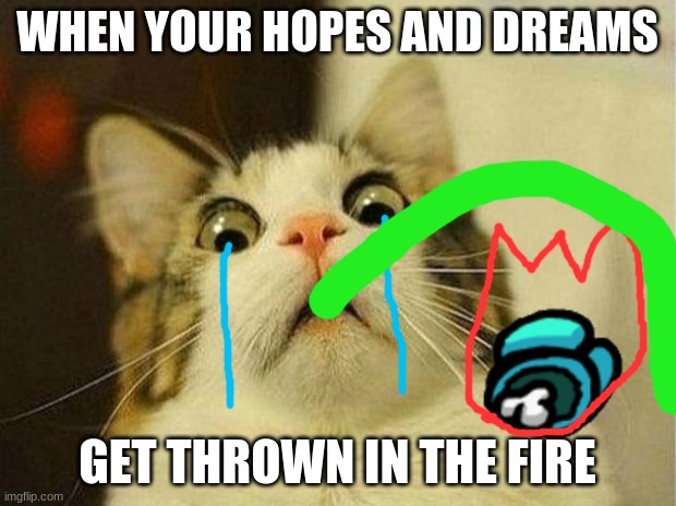 Scared Cat Meme | WHEN YOUR HOPES AND DREAMS; GET THROWN IN THE FIRE | image tagged in memes,scared cat | made w/ Imgflip meme maker