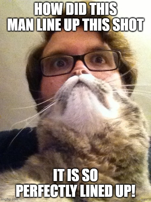 Perfect! | HOW DID THIS MAN LINE UP THIS SHOT; IT IS SO PERFECTLY LINED UP! | image tagged in memes,surprised catman,funny,cats,animals | made w/ Imgflip meme maker