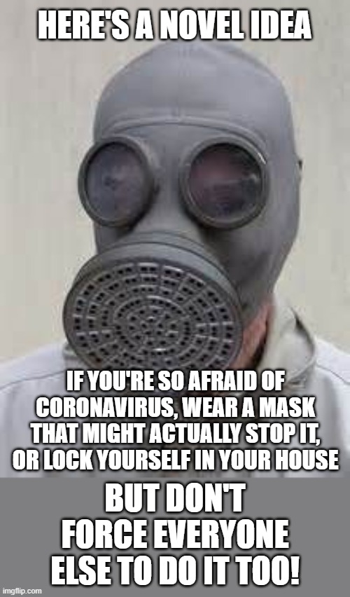 If you're that afraid, protect yourself. Don't force it on everyone else. |  HERE'S A NOVEL IDEA; IF YOU'RE SO AFRAID OF CORONAVIRUS, WEAR A MASK THAT MIGHT ACTUALLY STOP IT, OR LOCK YOURSELF IN YOUR HOUSE; BUT DON'T FORCE EVERYONE ELSE TO DO IT TOO! | image tagged in gas mask,memes,coronavirus,politics,lockdown,masks | made w/ Imgflip meme maker