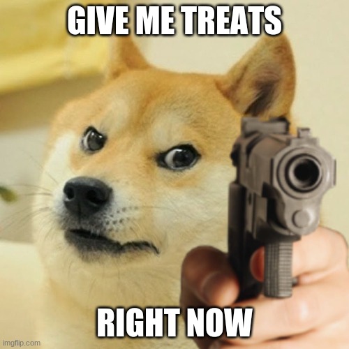 T R E A T S | GIVE ME TREATS; RIGHT NOW | image tagged in doge holding a gun,dogs,memes,funny,animals | made w/ Imgflip meme maker