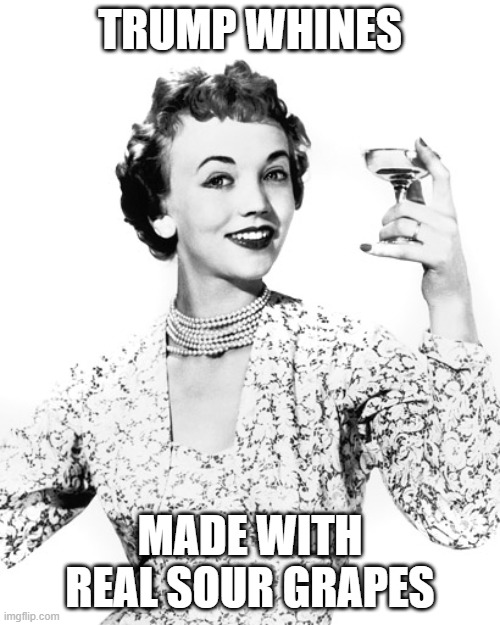 Woman Drinking Wine | TRUMP WHINES; MADE WITH REAL SOUR GRAPES | image tagged in woman drinking wine | made w/ Imgflip meme maker