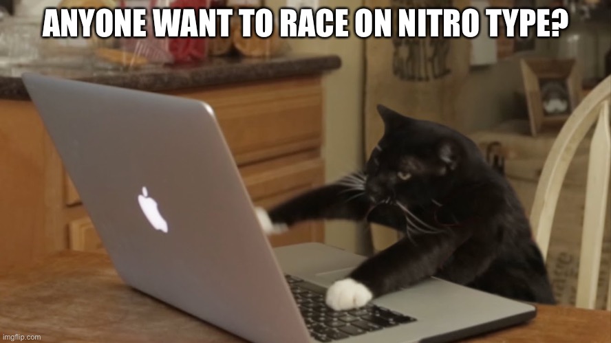 Furiously Typing Cat | ANYONE WANT TO RACE ON NITRO TYPE? | image tagged in furiously typing cat | made w/ Imgflip meme maker