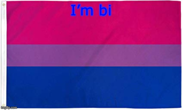 Hi.. | I’m bi | image tagged in bisexual flag,bisexual,memes,lgbtq | made w/ Imgflip meme maker